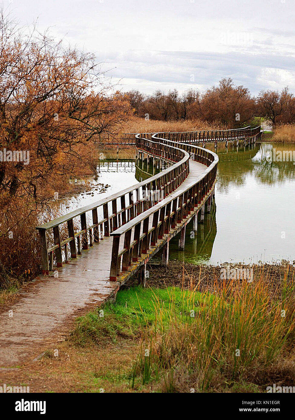 National Park Las Tablas de Daimiel Stock Photo