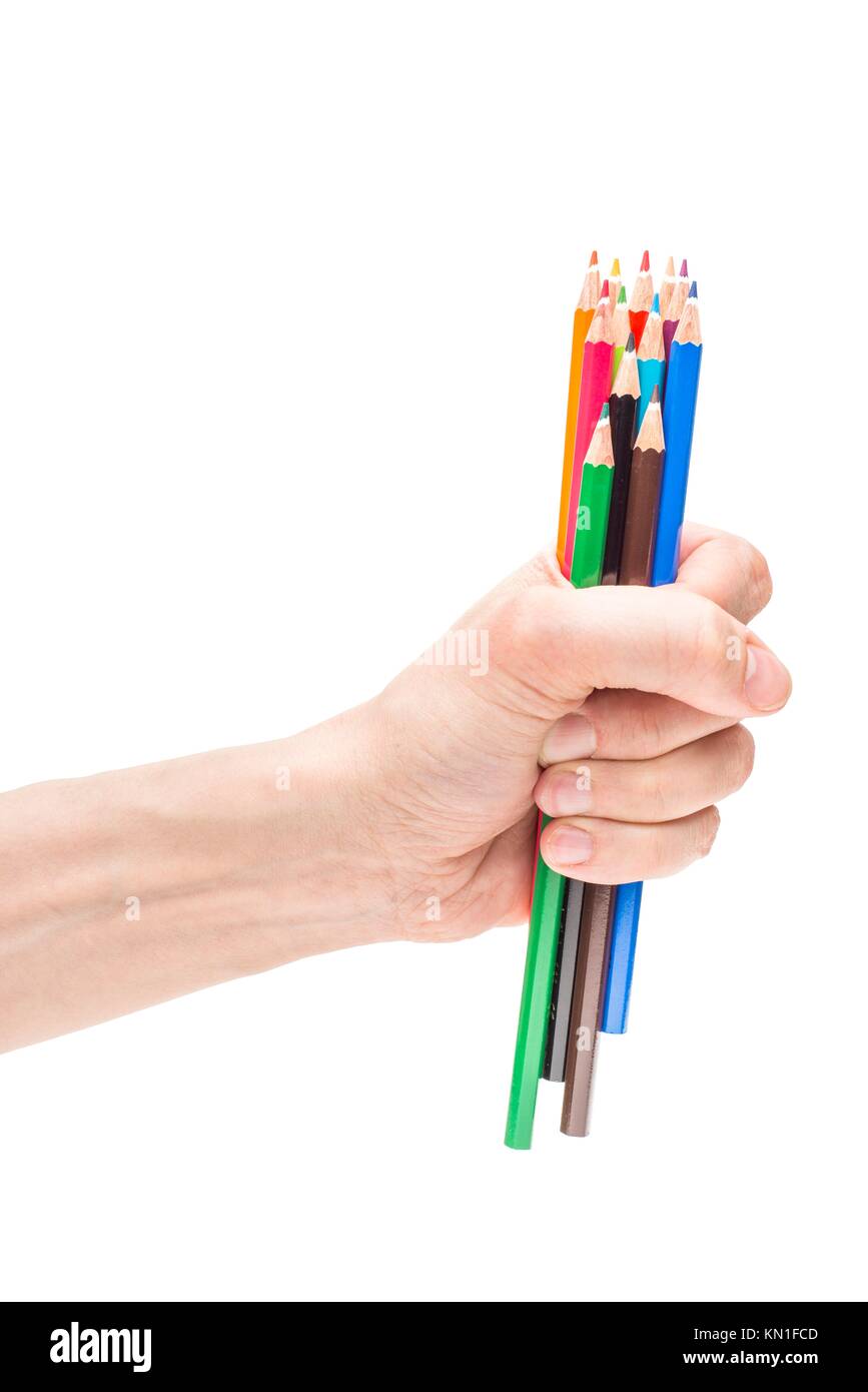 Closeup on white background of male hand holding group of colorful pencils used for drawing and creative sketching. Stock Photo