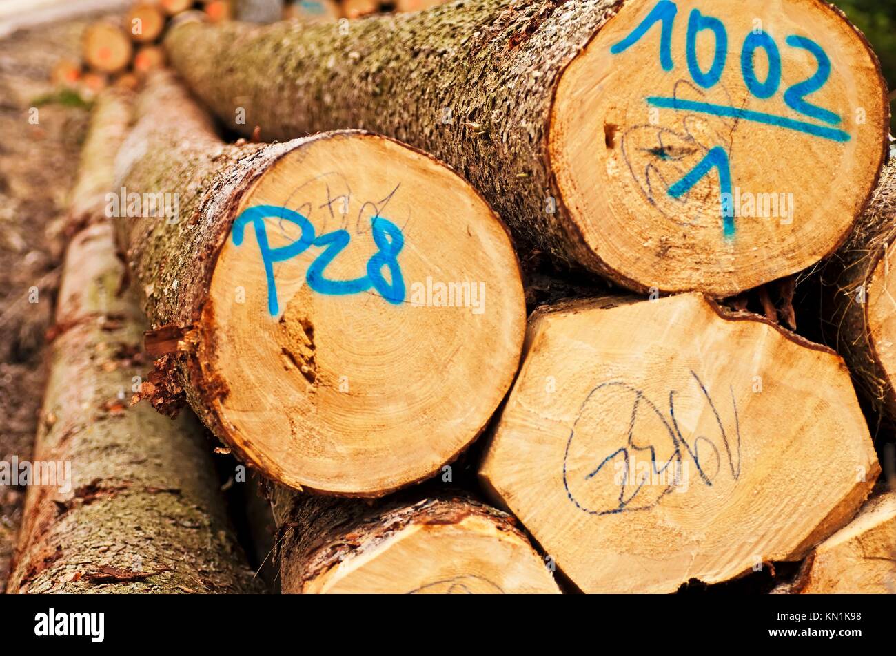timber wood in Germany Stock Photo Alamy