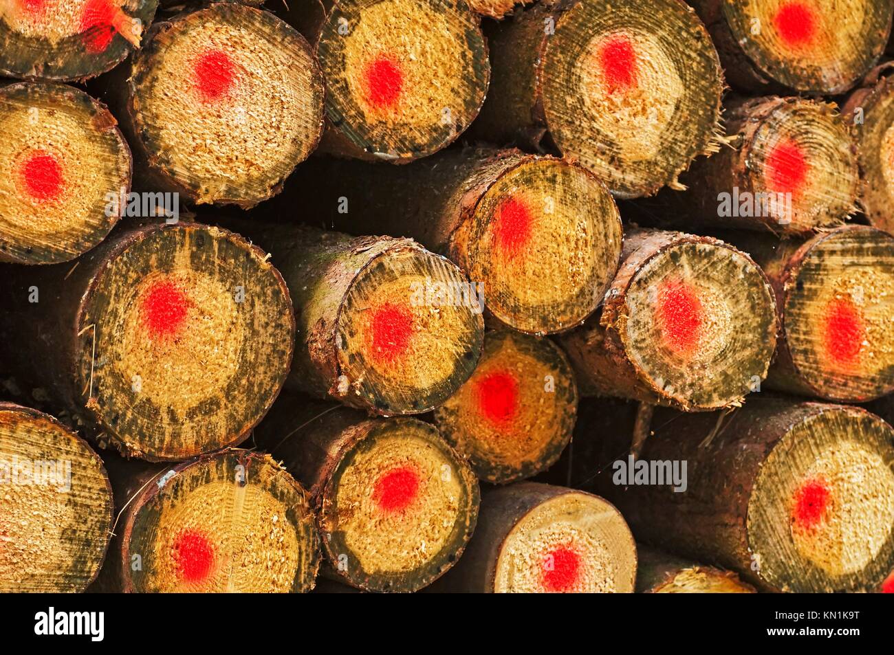 fuelwood in Germany Stock Photo Alamy