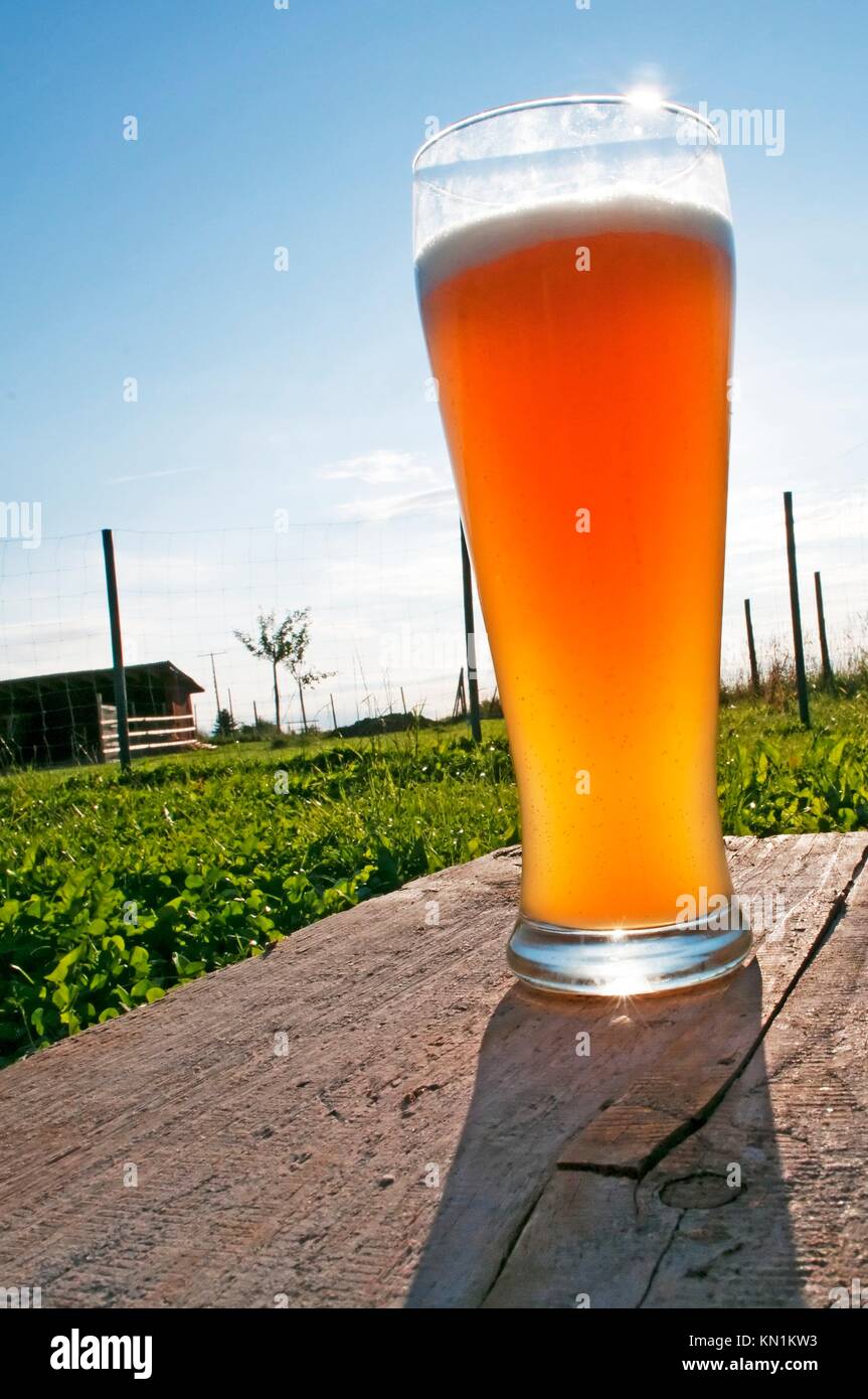 German wheat beer in afternoon sun Stock Photo Alamy