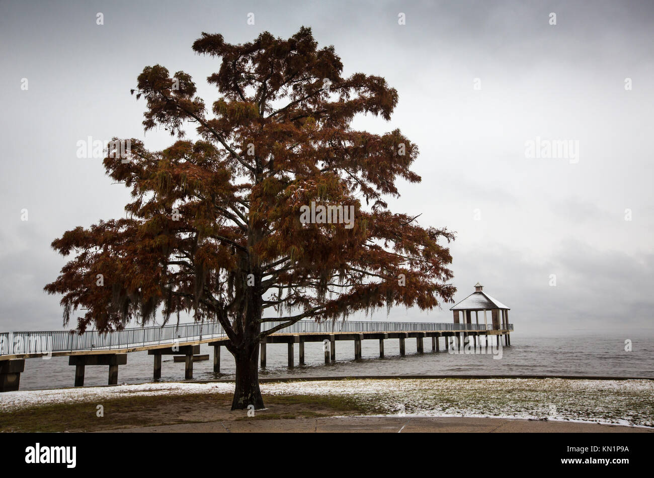 Mandeville, Louisiana, USA. 8th Dec, 2017. SNOW FALLS IN SOUTHERN LOUISIANA on the shore of Lake Pontchartrain in Fontainebleau State Park on Dec. 8, 2017. A wintry mix of precipitation fell across several Deep South states causing many businesses and schools to shut down. Credit: Julie Dermansky/ZUMA Wire/Alamy Live News Stock Photo