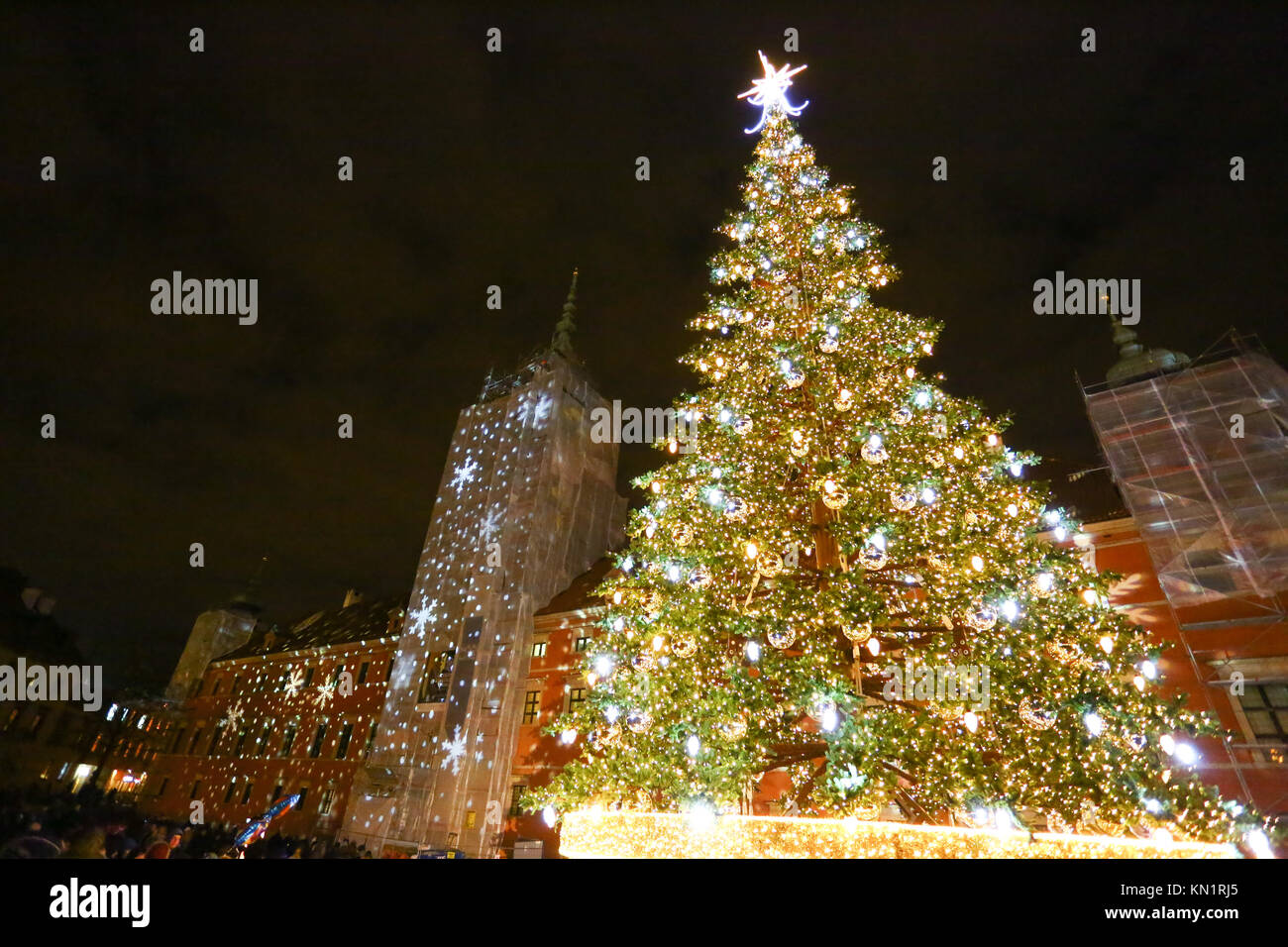 Highest christmas tree in europe