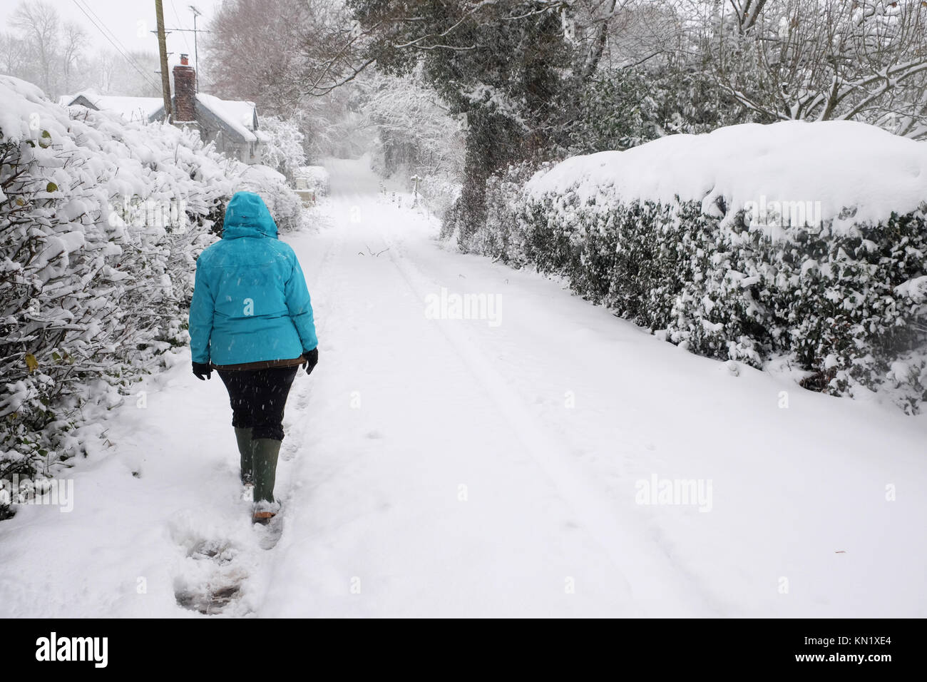 Titley, Herefordshire, UK - December 2017 - A pedestrian walks with care along a rural side road after heavy snowfall brings a winter wonderland look to the rural side roads of Herefordshire - Photo  Steven May / Alamy Live News Stock Photo