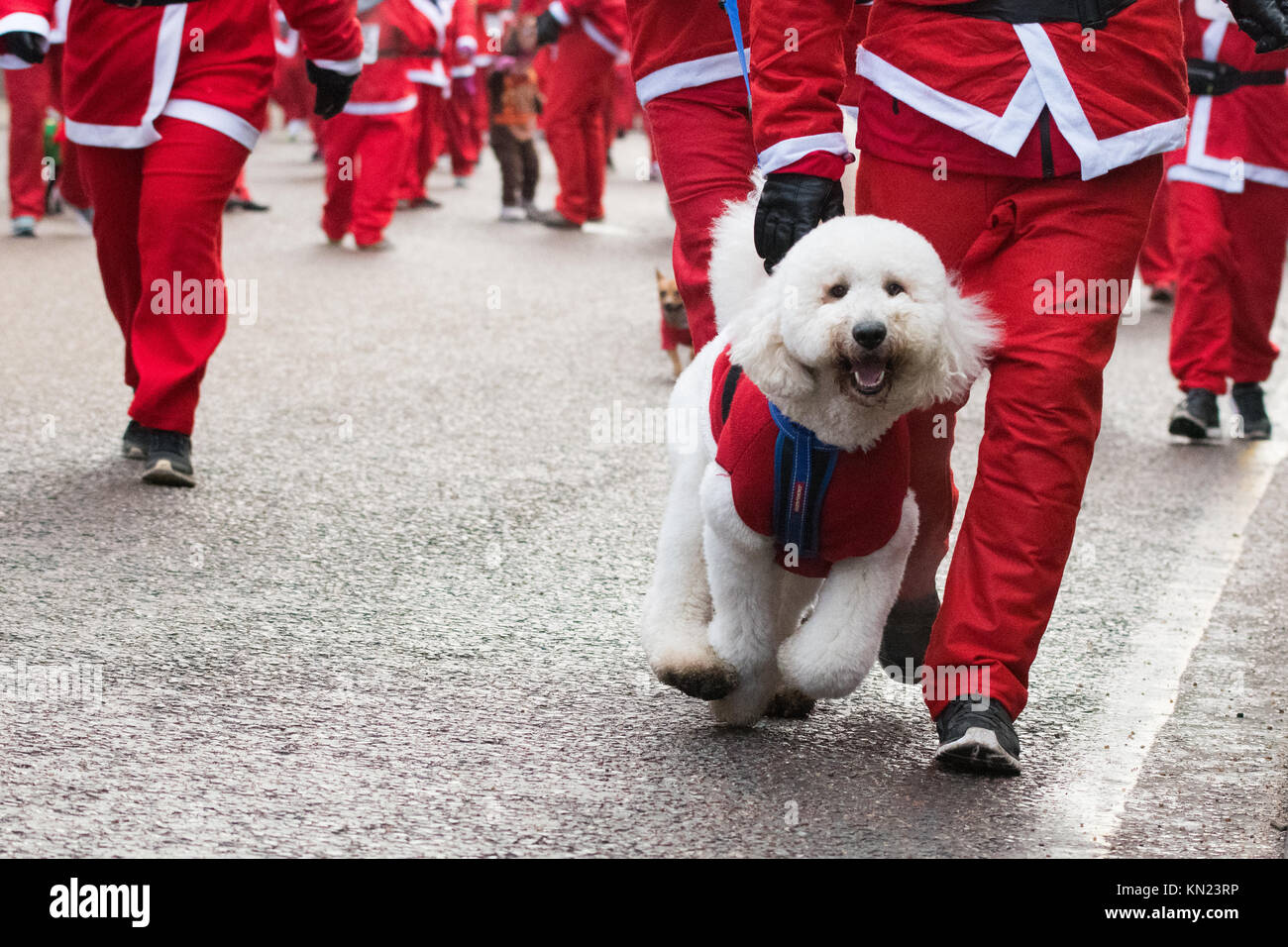 Glasgow, Scotland, UK - 10 December 2017: UK weather - thousands of santas brave temperatures well below zero on a freezing cold day in Glasgow raising money for charity at the Glasgow Santa Dash Credit: Kay Roxby/Alamy Live News Stock Photo