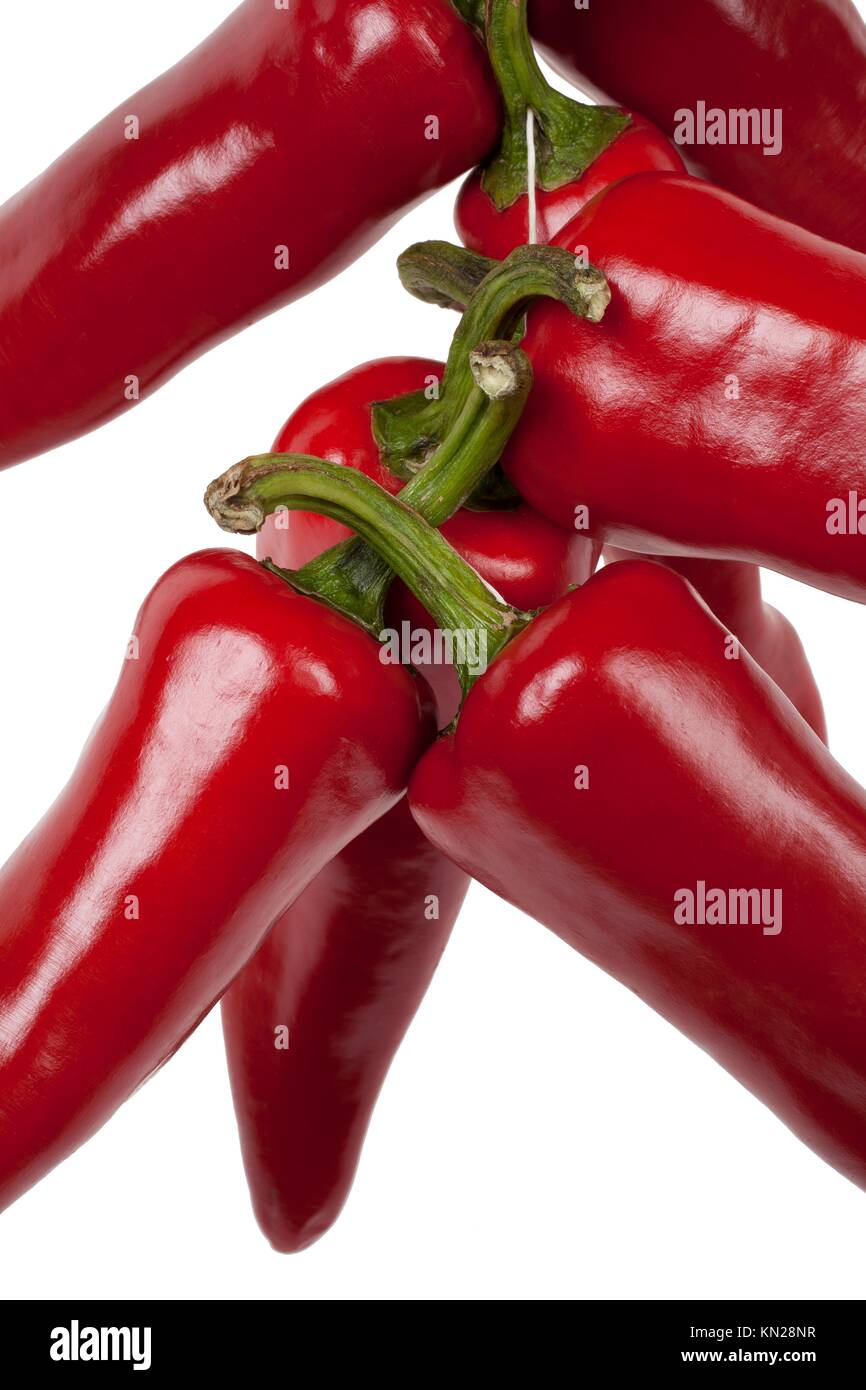 String of dried peppers hanging Espelette Basque Country France Europe