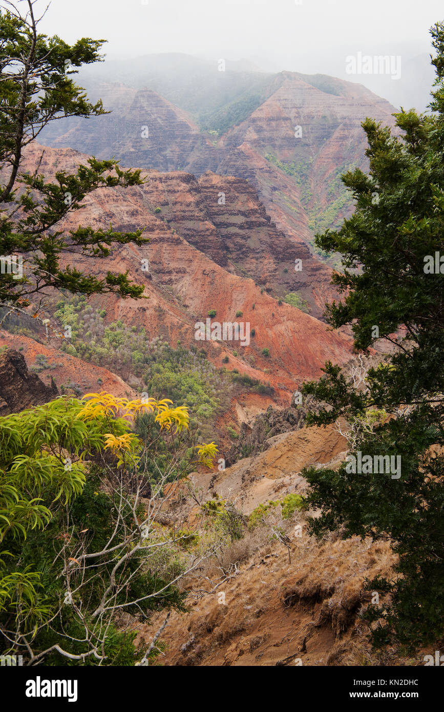 Waimea Canyon on Kauai Island, Hawaii Stock Photo