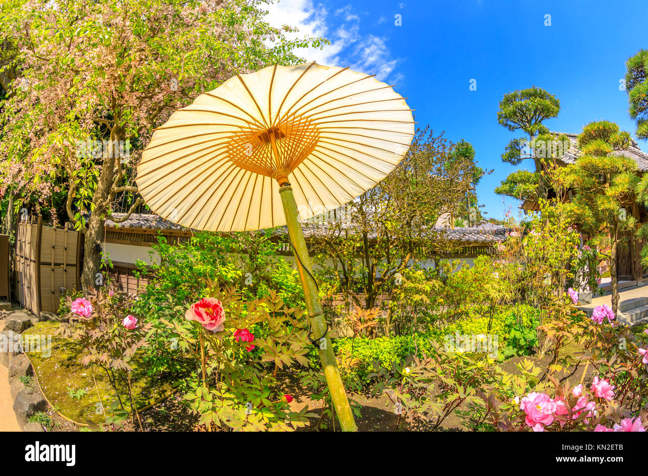 Japanese paper umbrella Stock Photo Alamy
