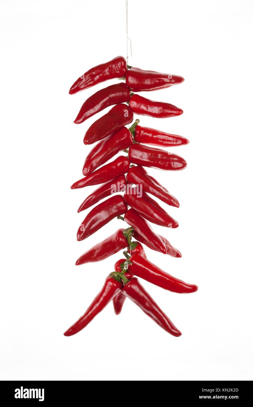 string of dried peppers hanging Espelette Basque Country France Europe