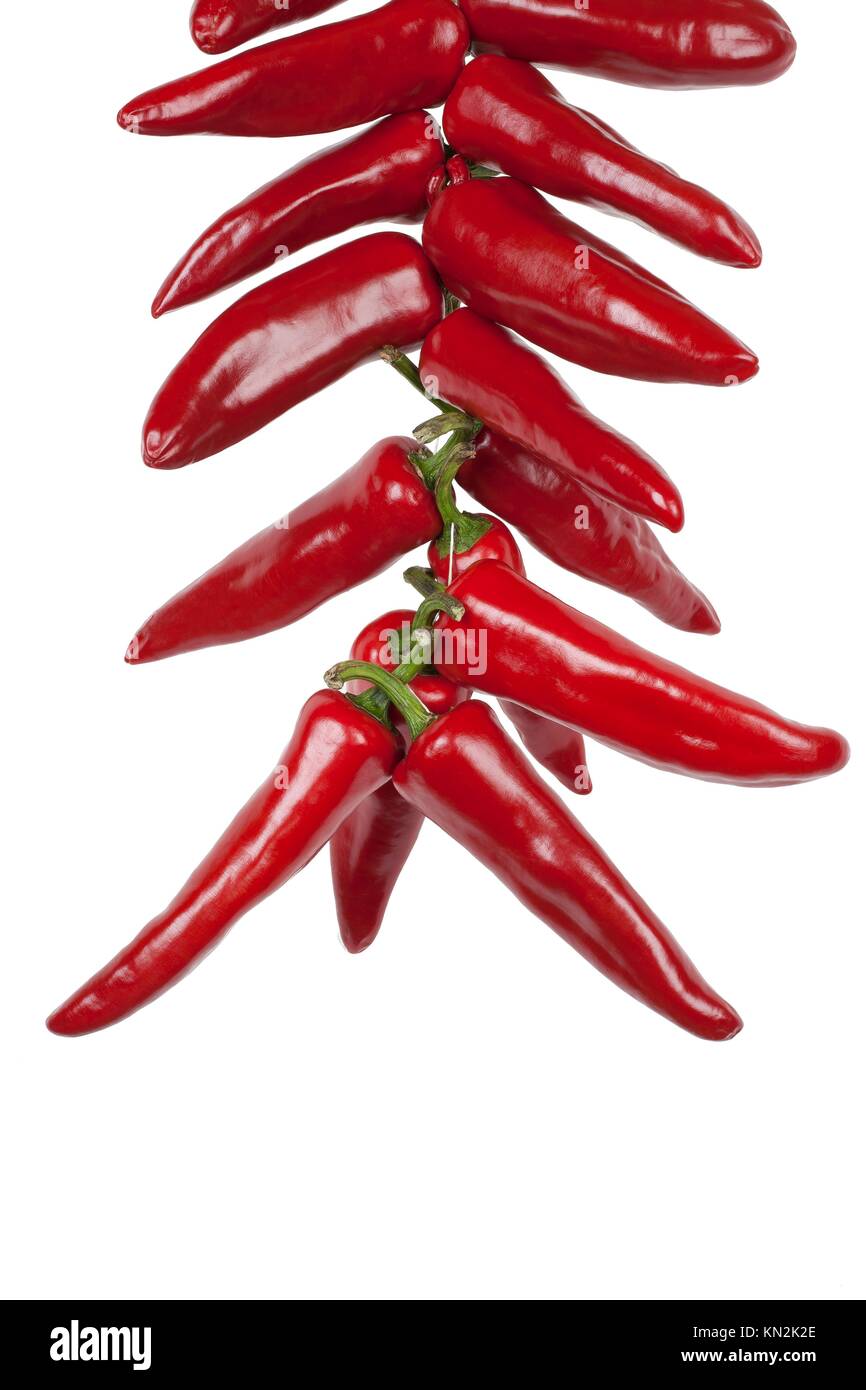 String of dried peppers hanging Espelette Basque Country France Europe
