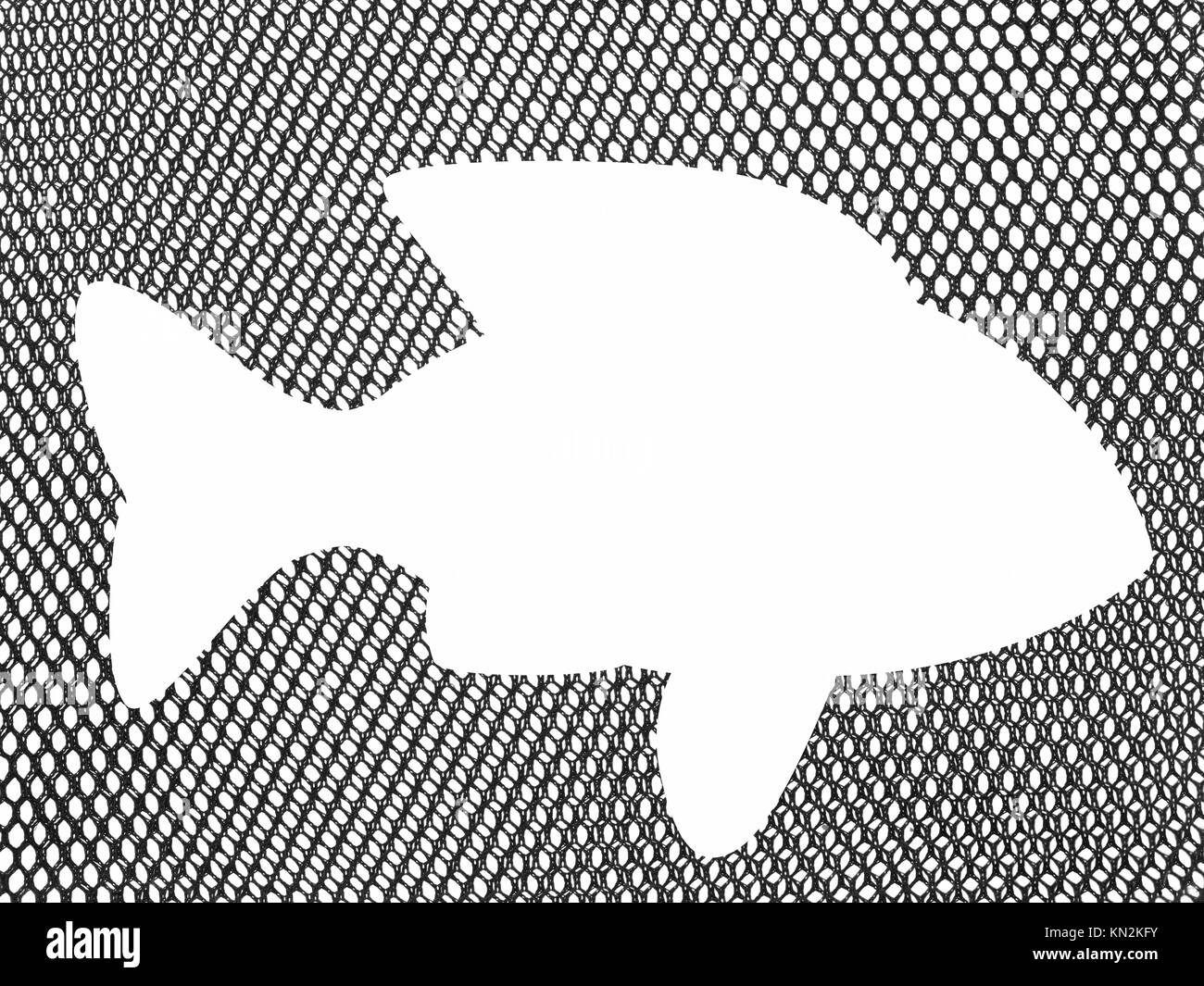 Fish wall design Black and White Stock Photos & Images Alamy