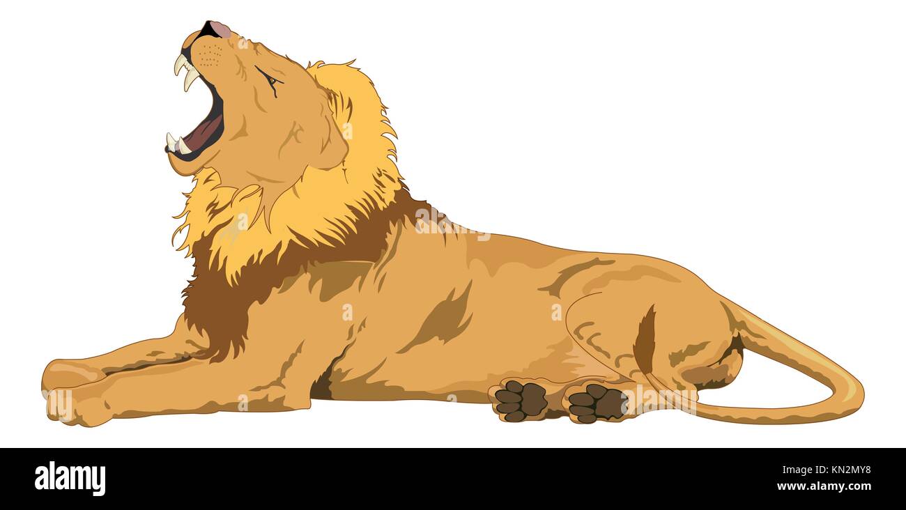 Fierce cartoon lion Royalty Free Vector Image - VectorStock