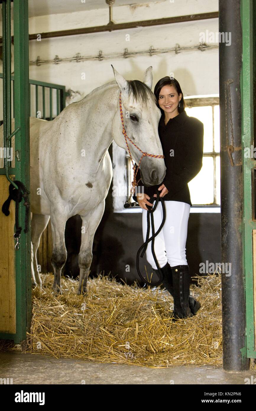 equestrian with horse in stable Stock Photo Alamy