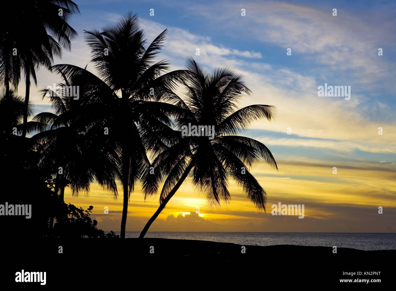 sunset over Caribbean Sea, Turtle Beach, Tobago Stock Photo - Alamy