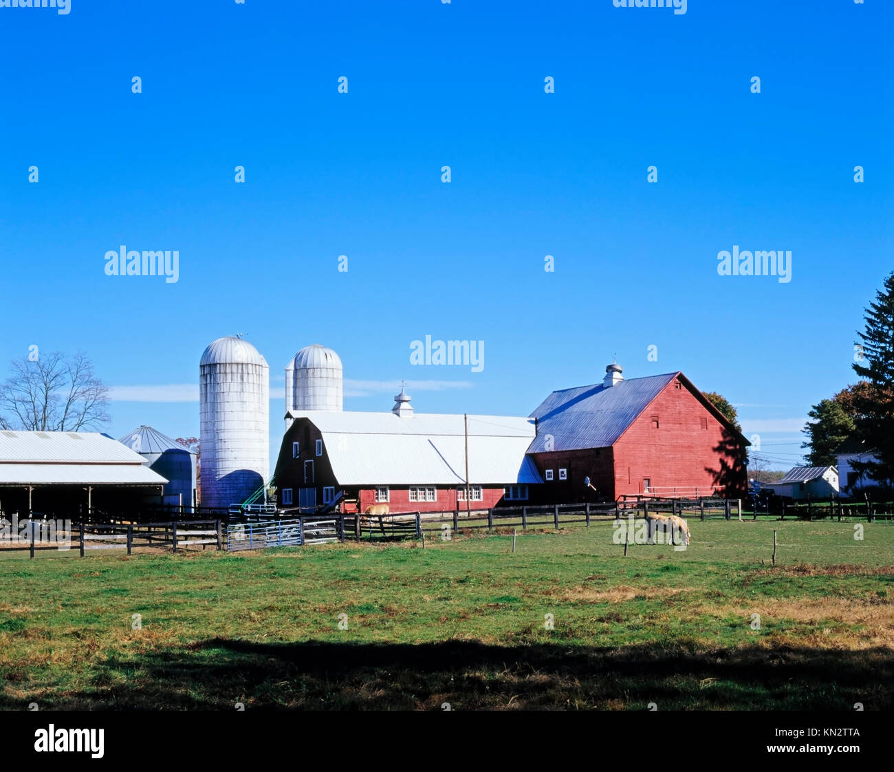 Farm Scene, Town of Red Hook, Dutchess County, New York State, America