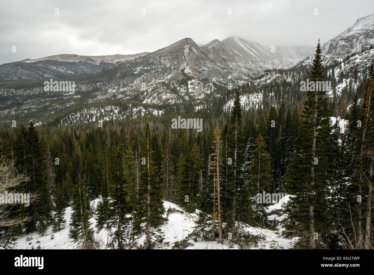 From near Bear Lake, Rocky Mountain National Park.  Estes Park, Colorado. Stock Photo
