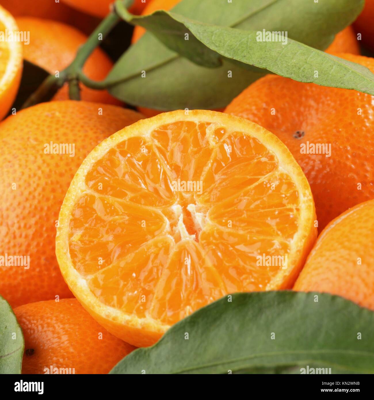 Cross section of tangerine Stock Photo Alamy