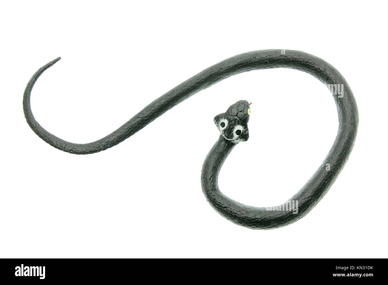 Rubber Cobra on White Background Stock Photo - Alamy