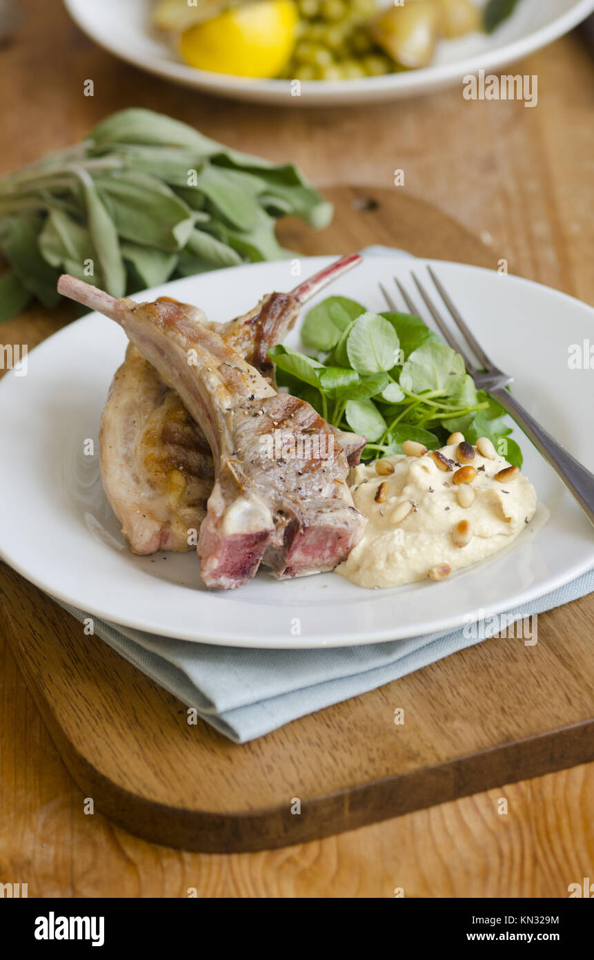 Grilled lamb chops with hummus and watercress Stock Photo Alamy