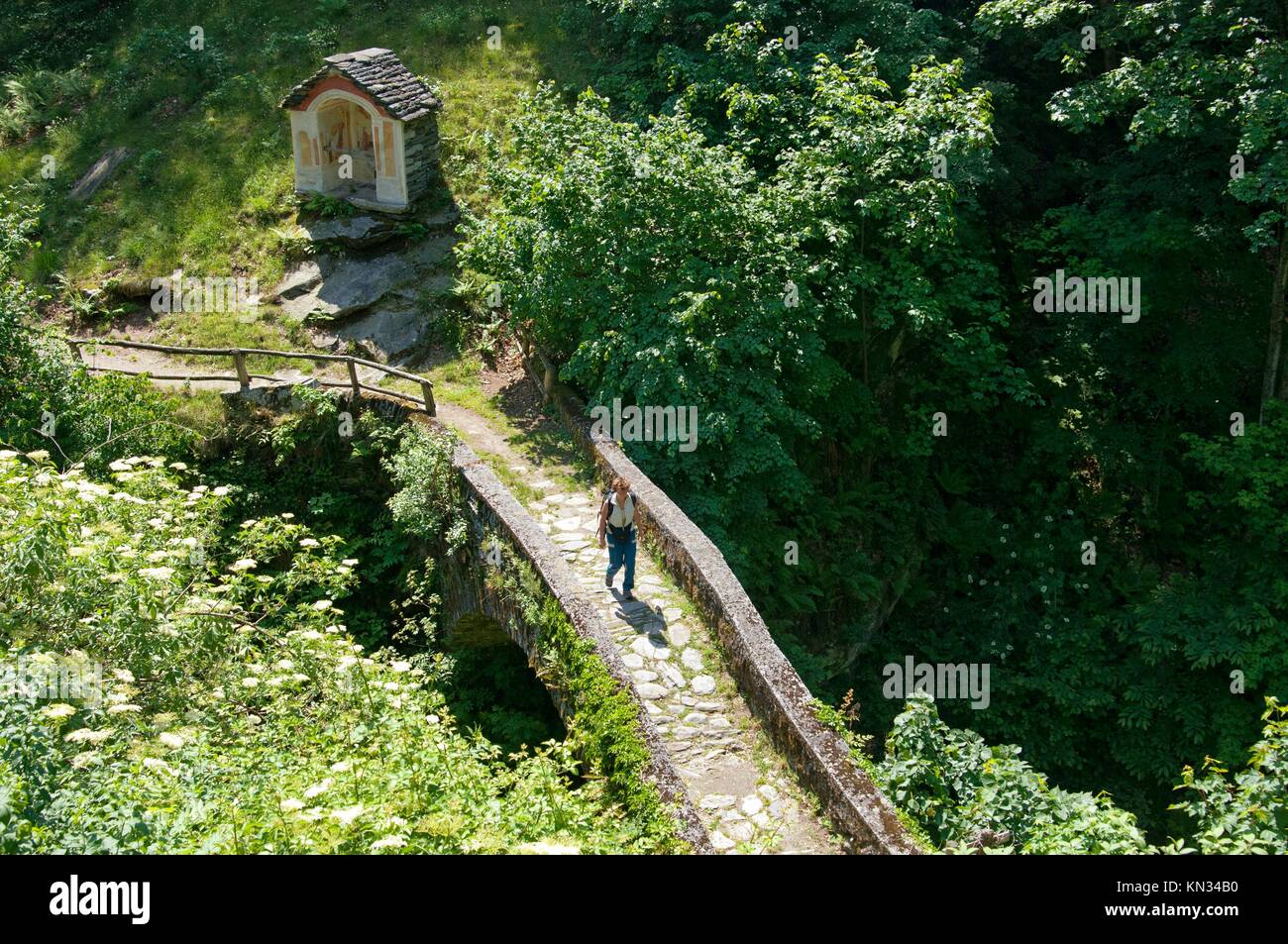 A historic bridle path on a bridge with cobblestone pavement in the Verzasca valley near Corippo, Ticino, Switzerland Stock Photo