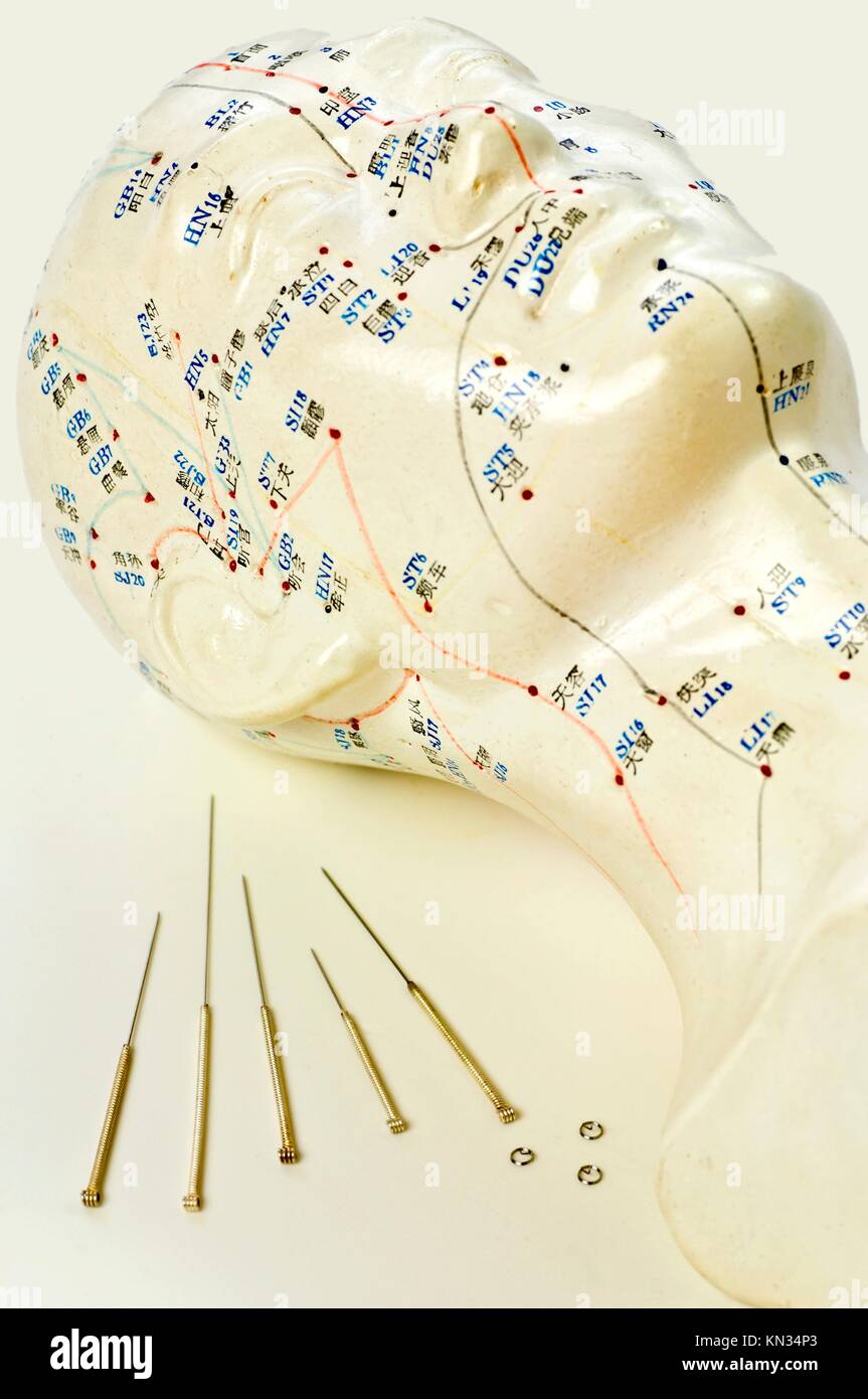 Acupuncture needles with head model Stock Photo Alamy