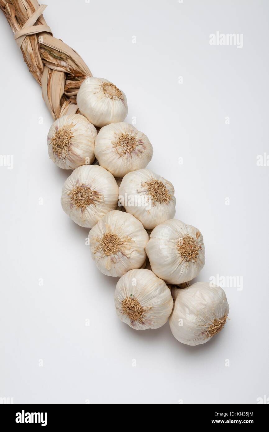 Purple Garlic Spanish. Cuenca denomination of origin Stock Photo Alamy