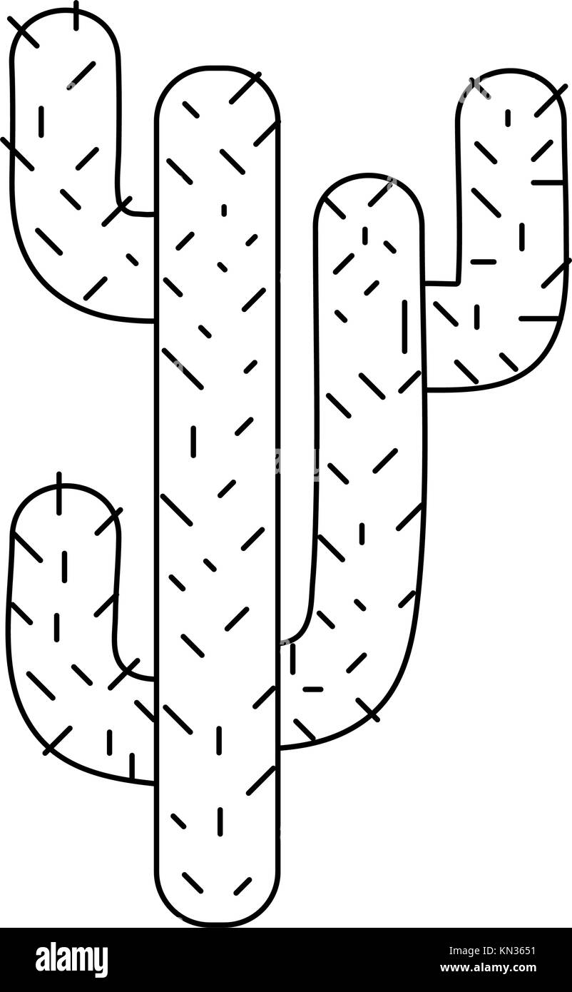 line natural cactus summer plant desert Stock Vector Image & Art - Alamy