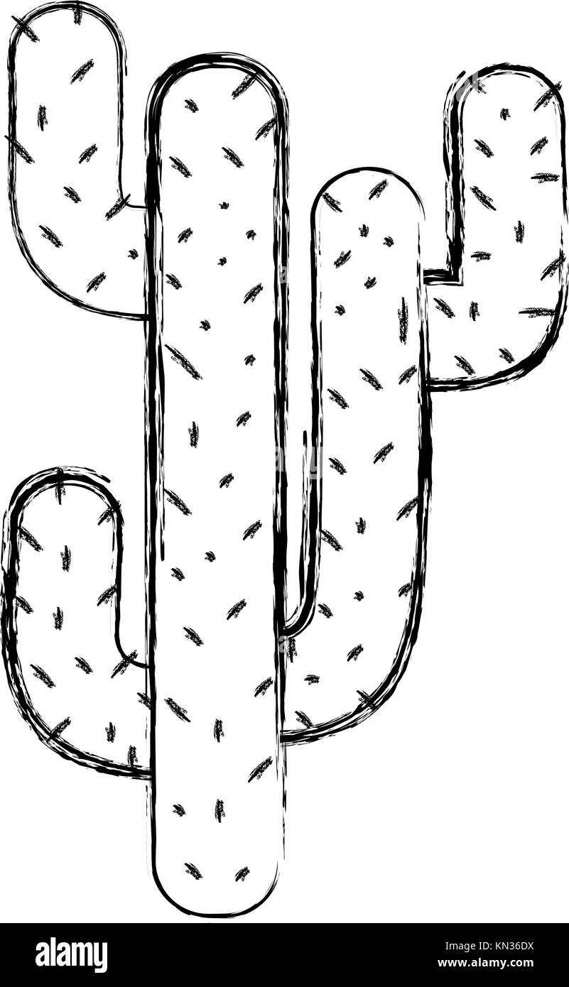 figure natural cactus summer plant desert Stock Vector Image & Art - Alamy