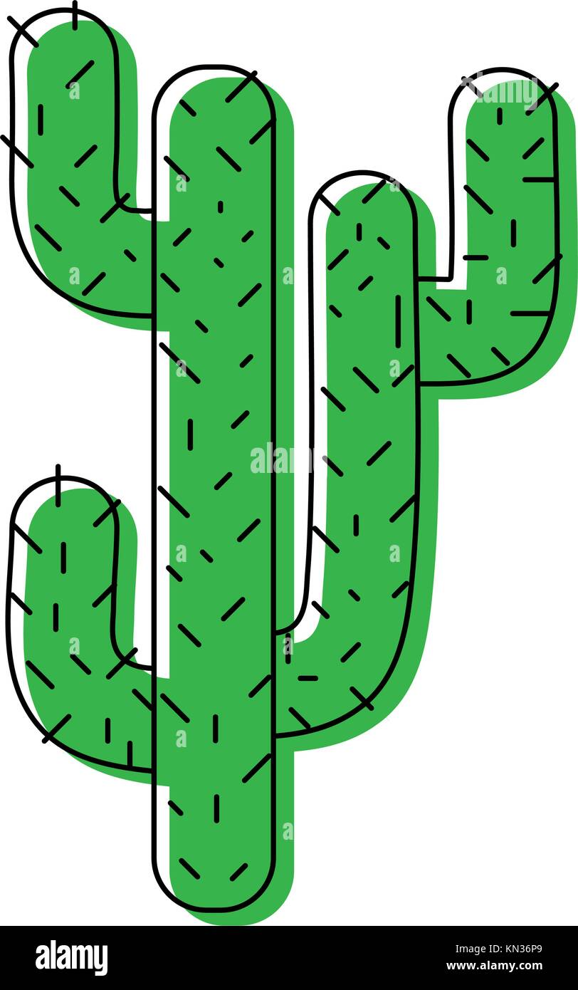 color natural cactus summer plant desert vector illustration Stock ...