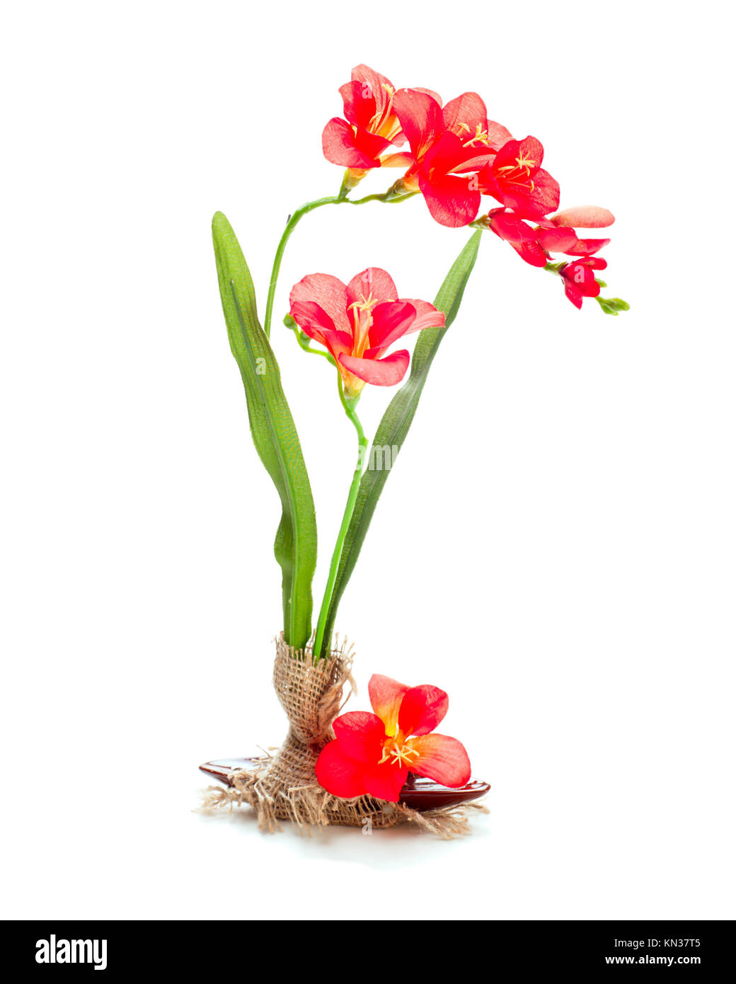 still life from artificial flowers of a freziya Stock Photo Alamy
