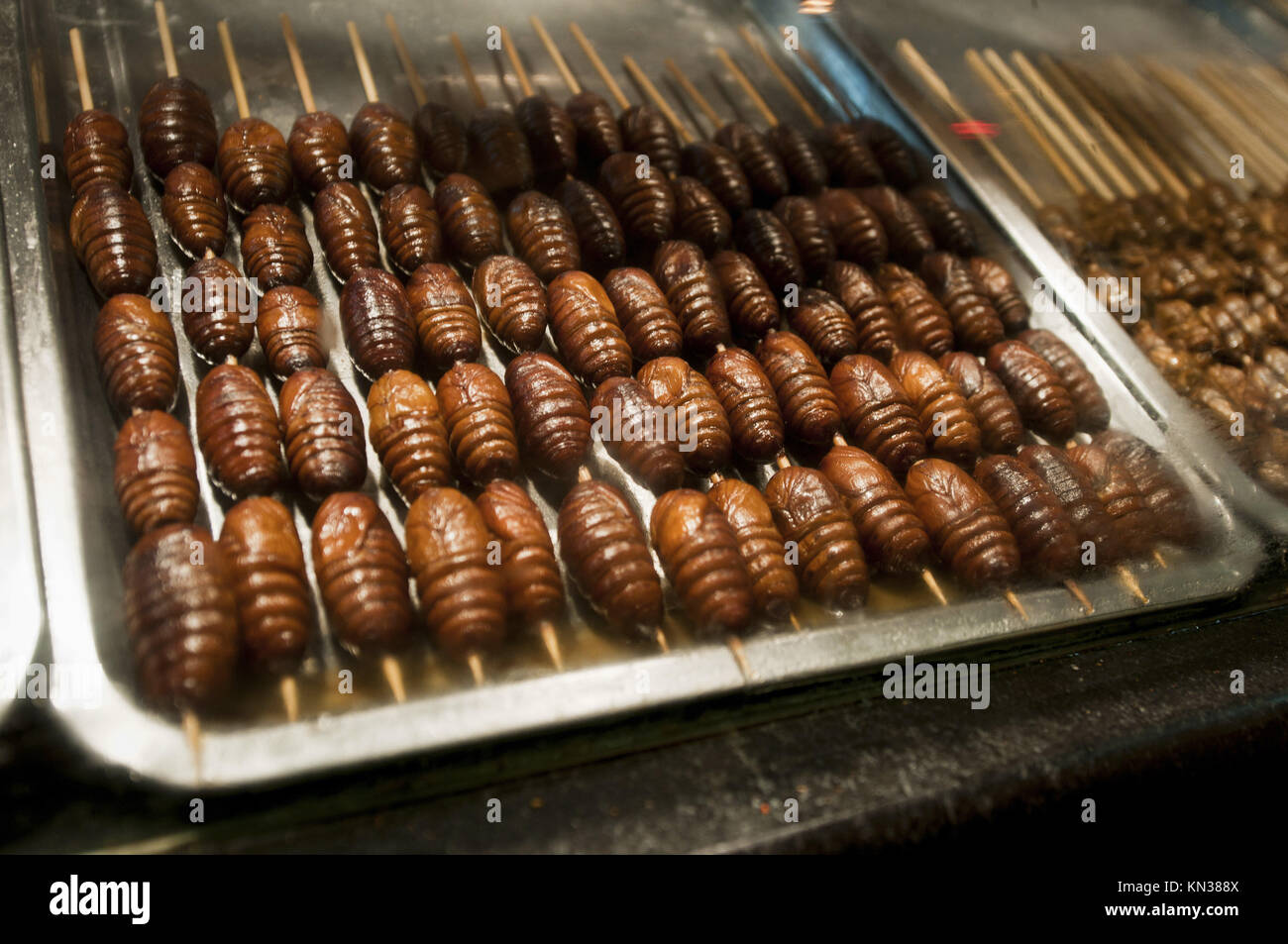 Silkworm Food Stock Photos & Silkworm Food Stock Images Alamy