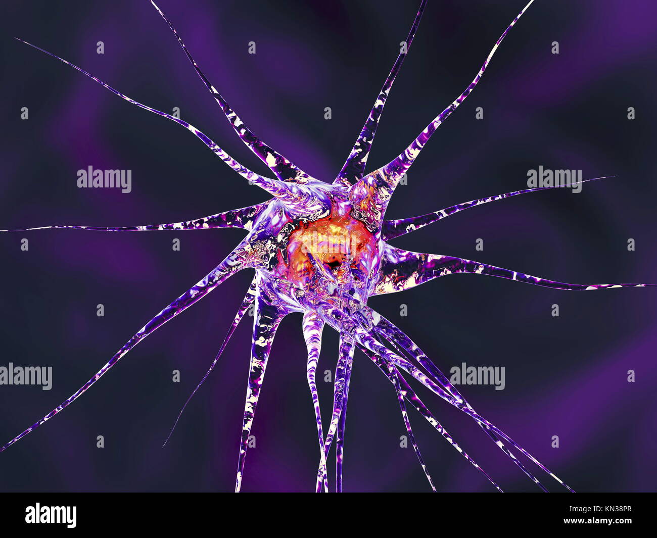 Nerve cell chemistry hi-res stock photography and images - Alamy
