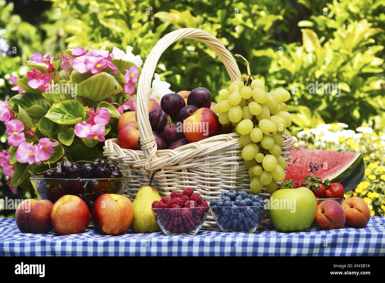 Basket of fresh organic fruits in the garden Stock Photo Alamy