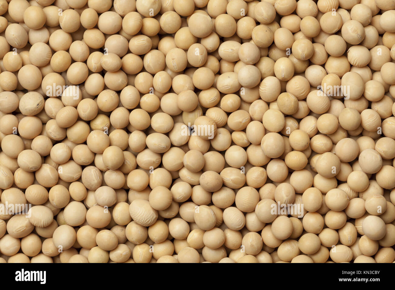 Dried soybeans full frame Stock Photo Alamy