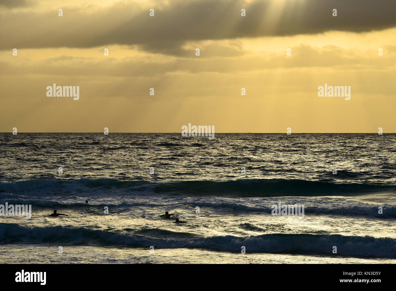 sunset in the sea with surfers, fuerteventura , canary islands Stock ...