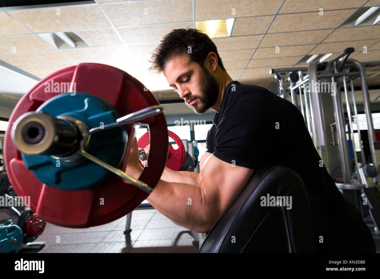 Biceps Preacher Bench Arm Curl Workout Man At Fitness Gym Stock