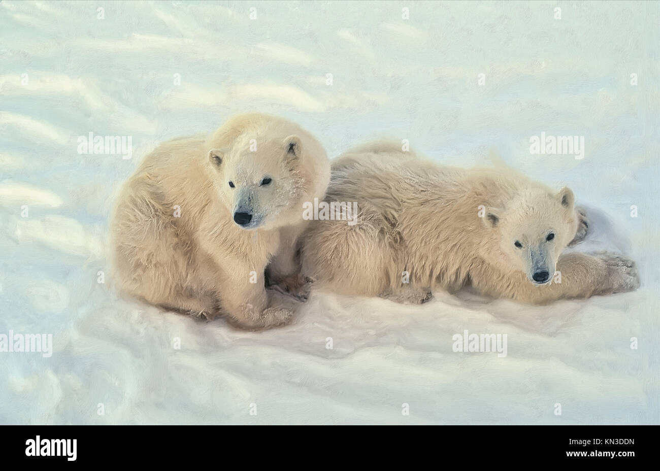 Polar bear cubs in Canadian Arctic. Stock Photo