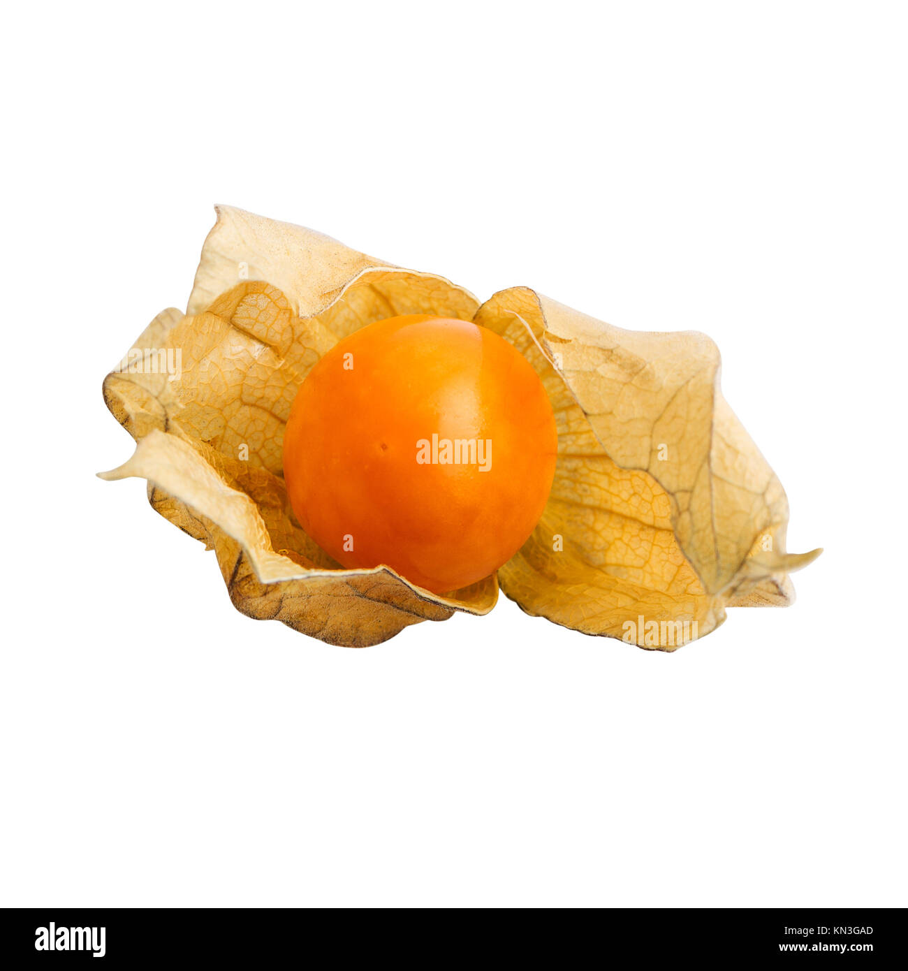 Physalis or cape gooseberry fruit isolated on white with clipping path Stock Photo