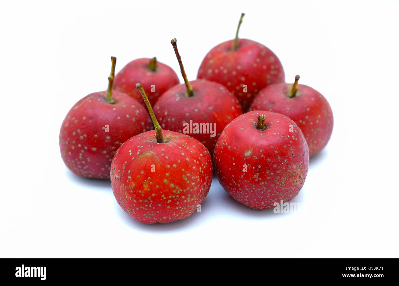 Chinese Red Hawthorn fruit isolated on white background Stock Photo