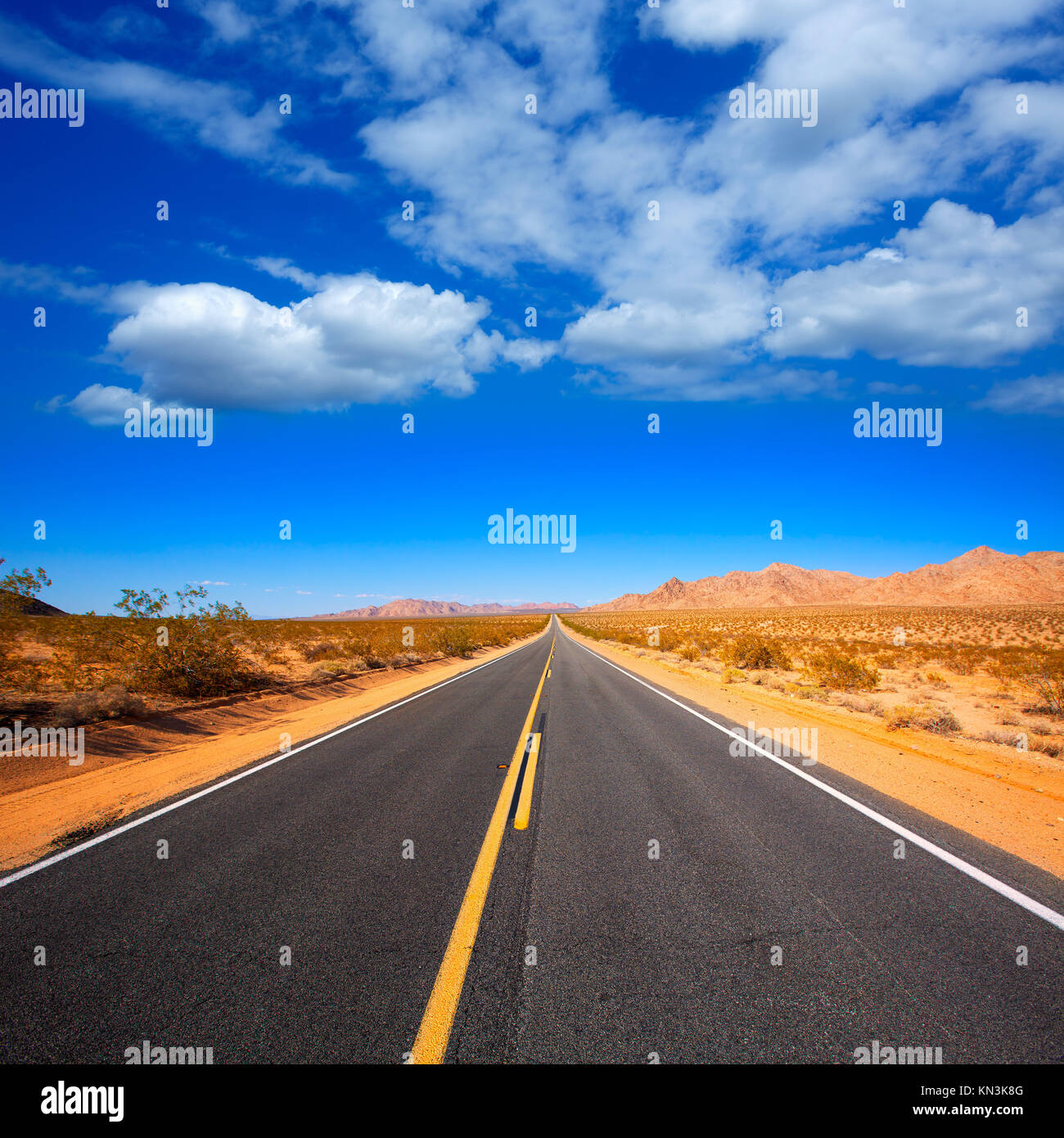 Mohave desert by Route 66 in California Yucca Valley USA Stock Photo