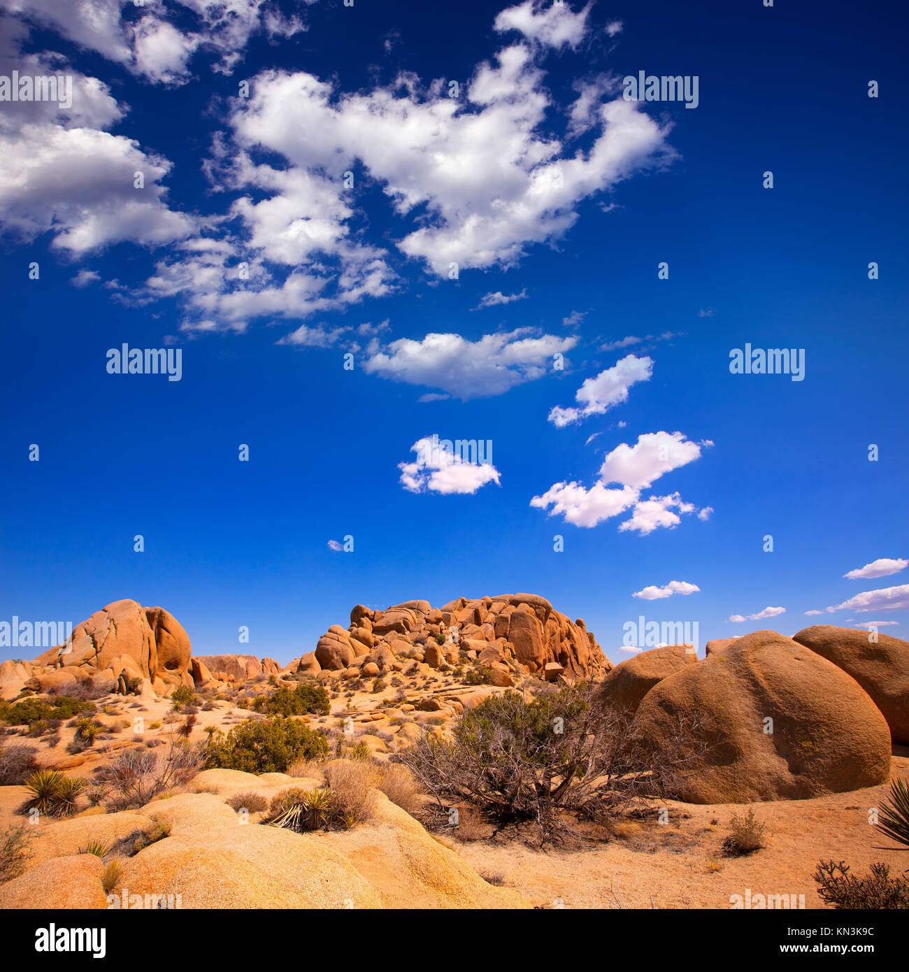 Skull rock in Joshua tree National Park Mohave desert Yucca Valley