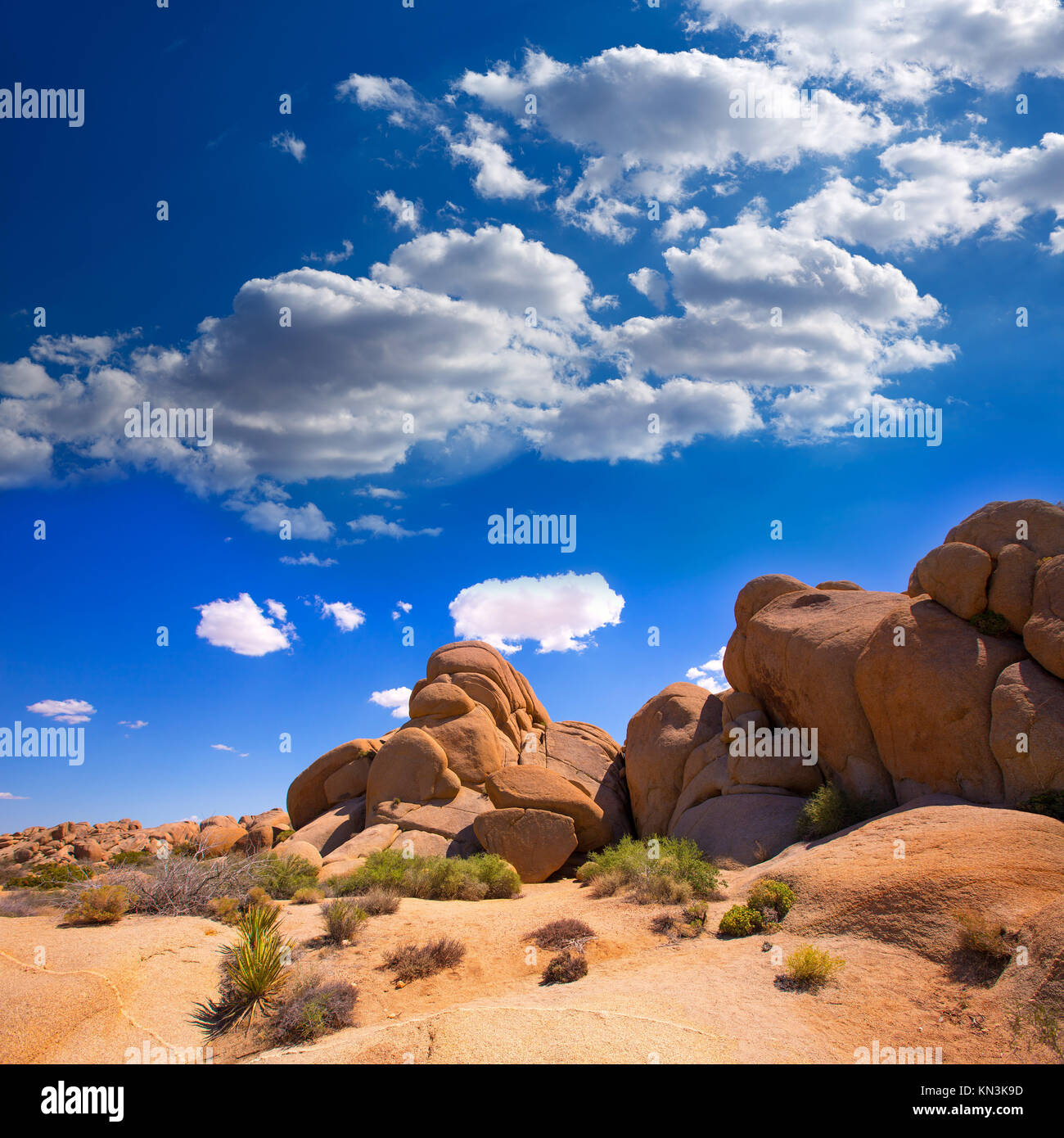 Skull rock in Joshua tree National Park Mohave desert Yucca Valley