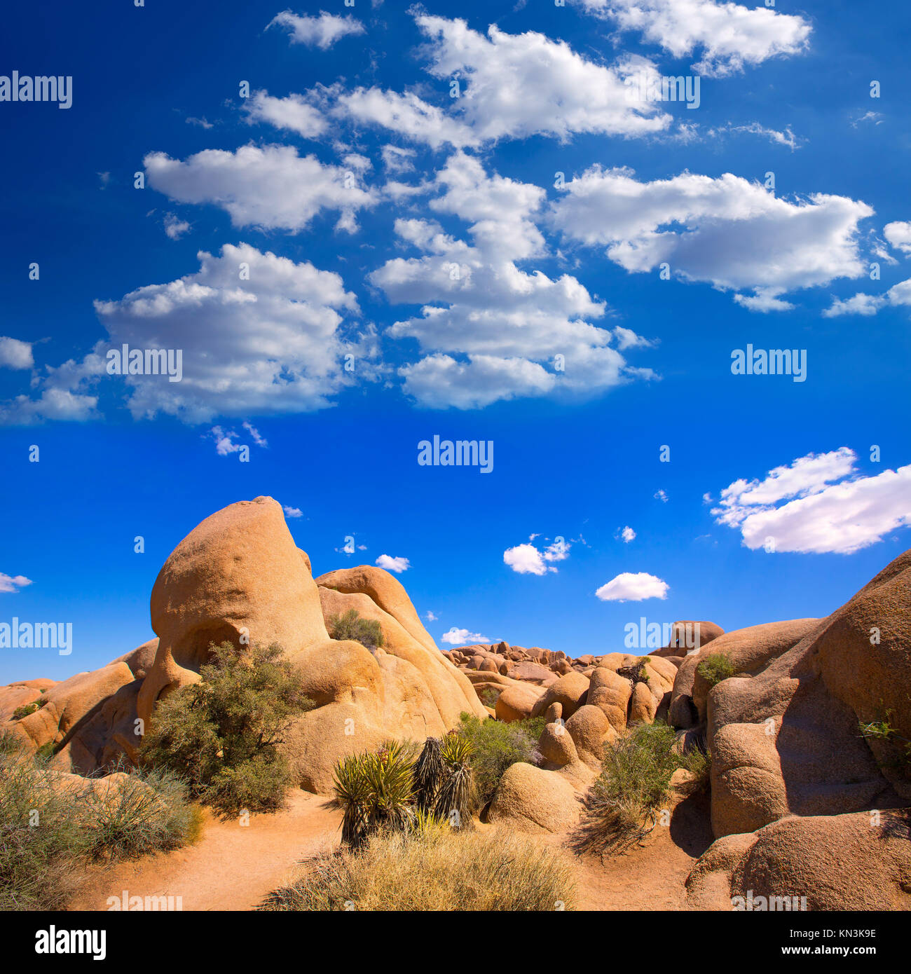 Skull rock in Joshua tree National Park Mohave desert Yucca Valley