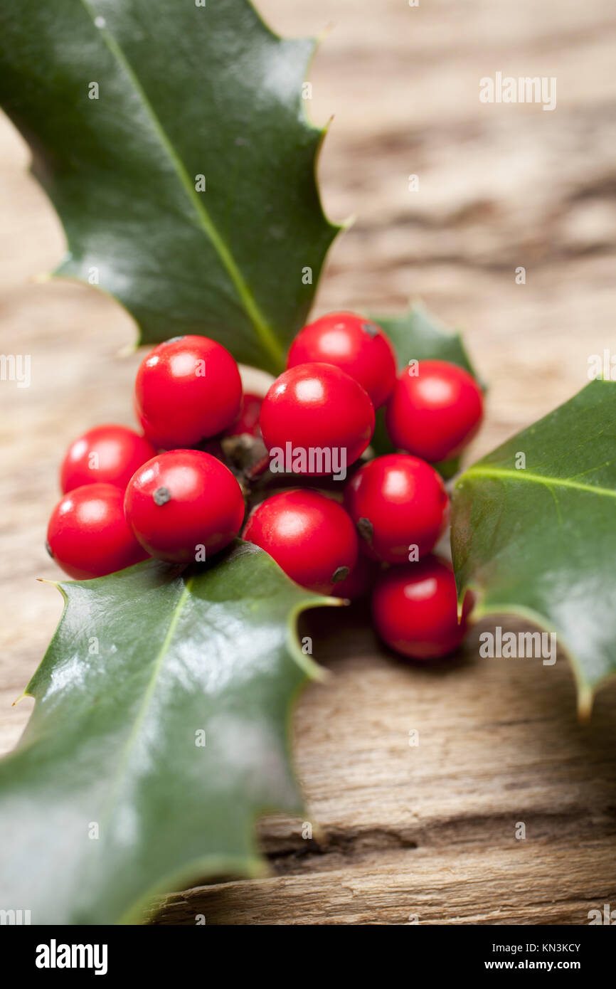 Christmas holly hi-res stock photography and images - Alamy