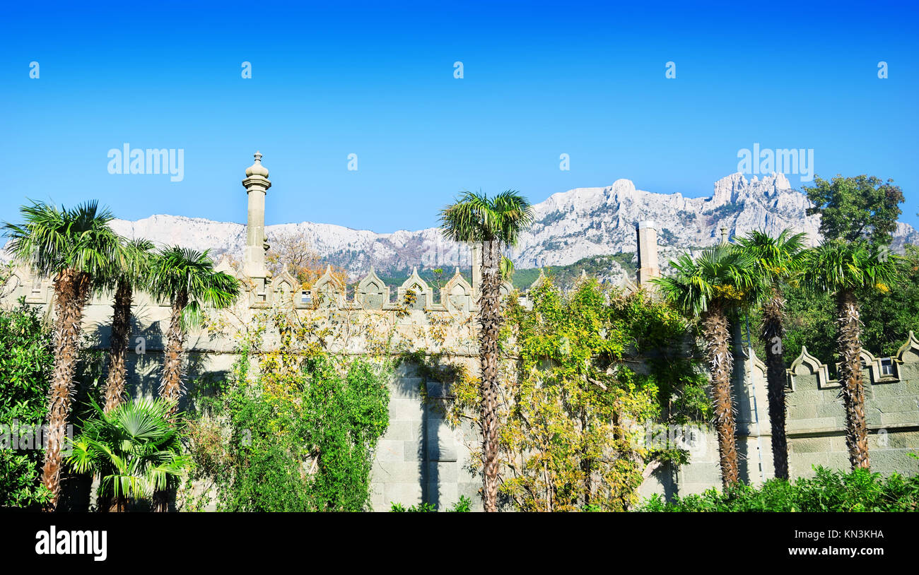 Summer park with palm trees and beautiful fence Stock Photo - Alamy