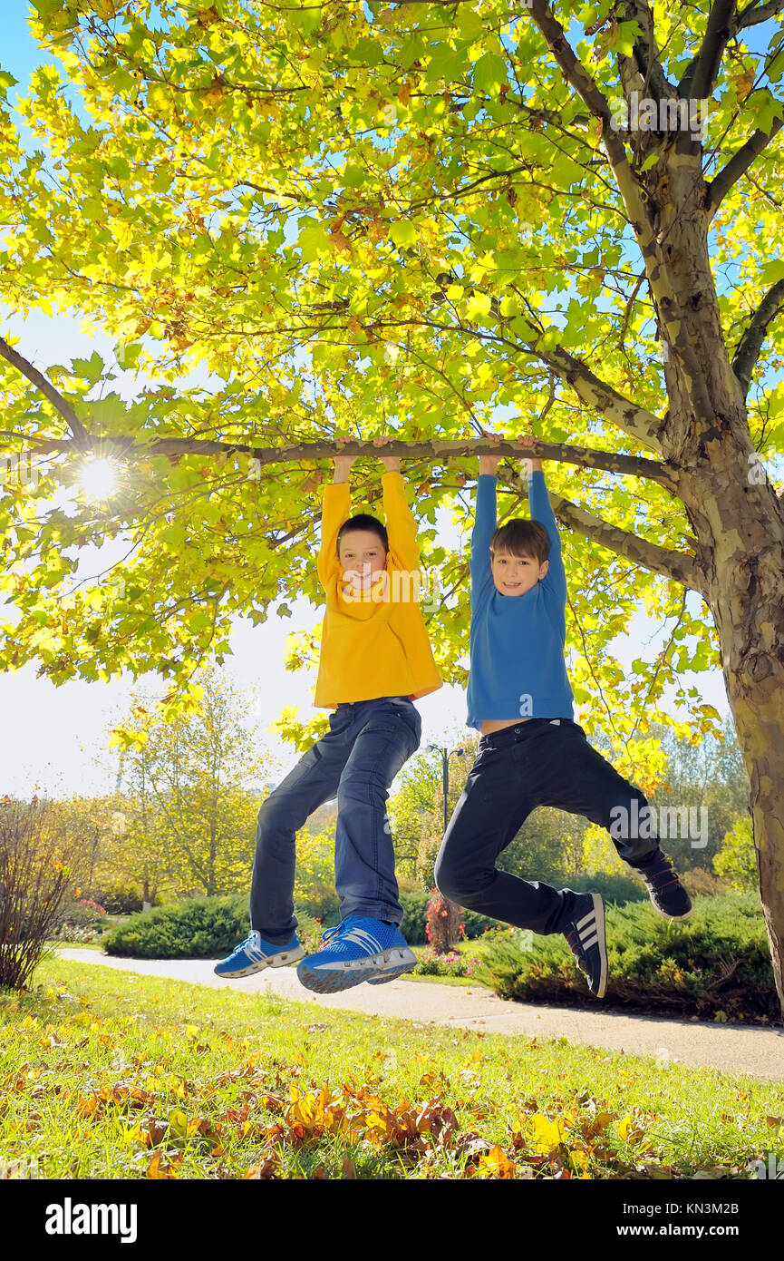 Boy hanging from branch tree hires stock photography and images Alamy