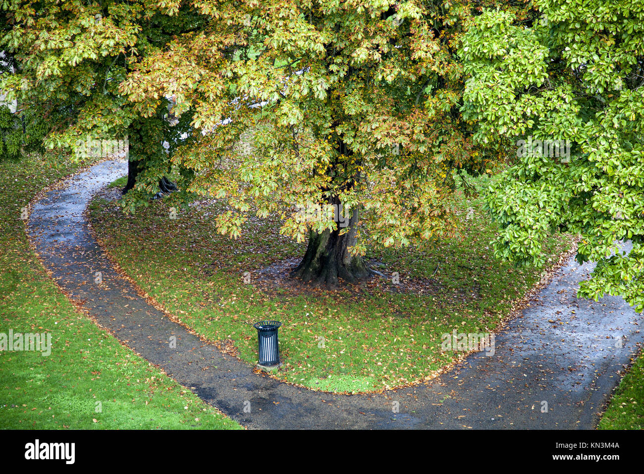 Green grass and way park Stock Photo - Alamy