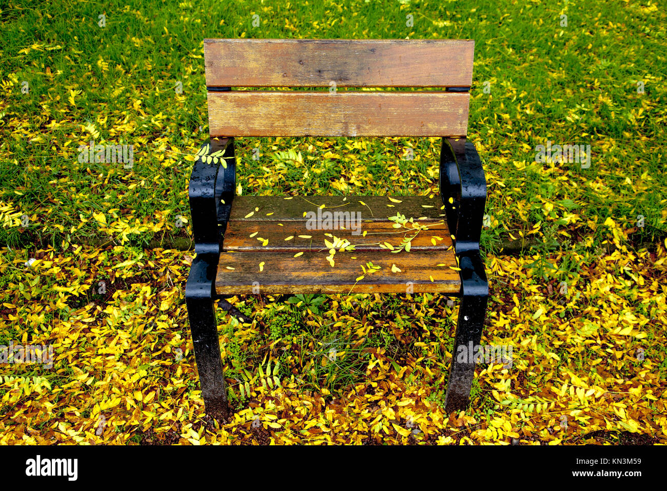 Chairs in the park Stock Photo Alamy