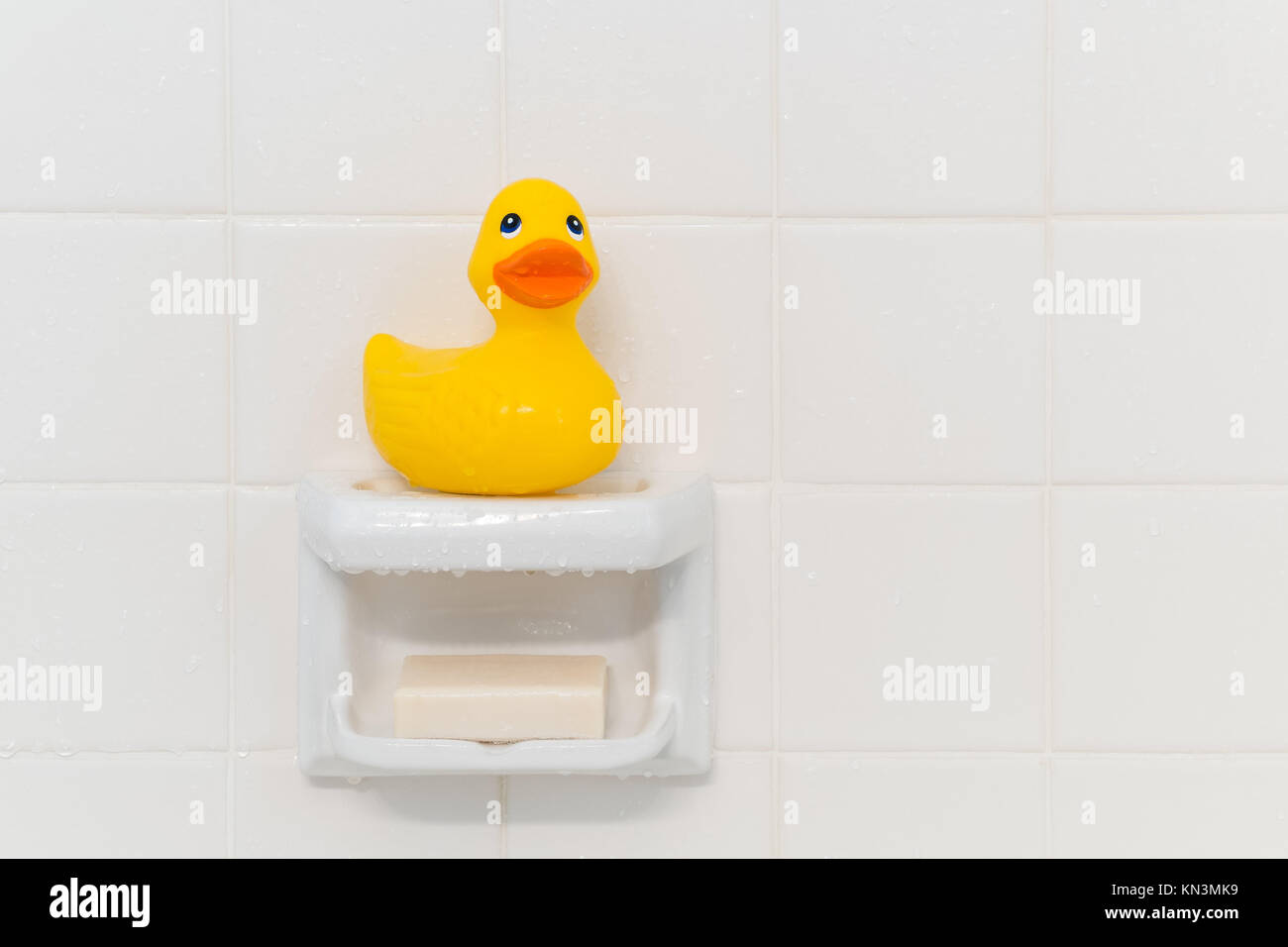 https://c8.alamy.com/comp/KN3MK9/yellow-rubber-duck-sitting-on-a-soap-dish-in-a-shower-KN3MK9.jpg