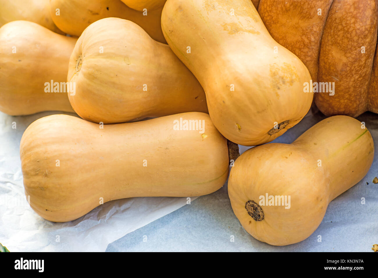 Peeled butternut squash hi-res stock photography and images - Alamy